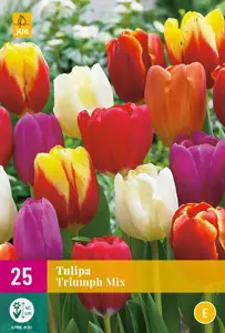 Tulipa Triumph Mix