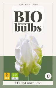 Tulipa White Rebel - bio
