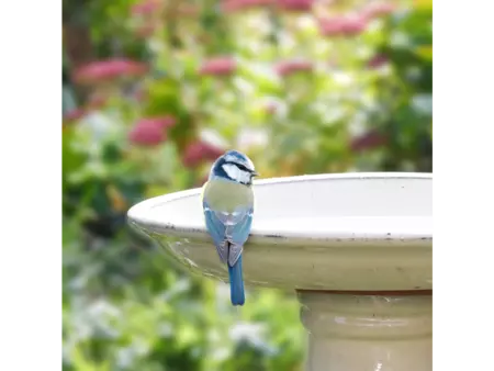 Vogelbad crème op voet - afbeelding 3