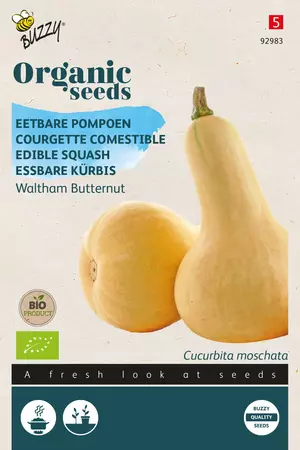 Eetbare Pompoen Waltham Butternut