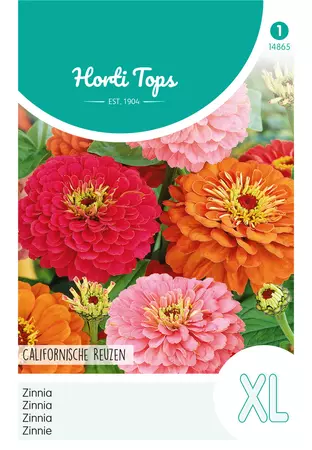 Zinnia Californische Reuzen gemengd