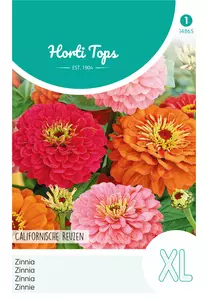 Zinnia Californische Reuzen gemengd